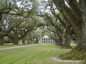 New Orleans Plantation edit